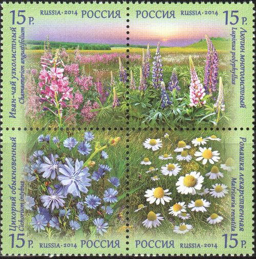 Флора России. Полевые цветы — купить квартблок