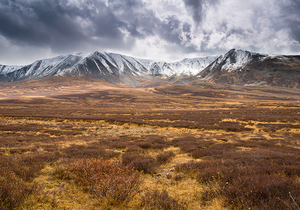 Вид на Северо-Чуйский хребет. Республика Алтай. Почтовая открытка