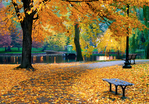 Осень в парке. Почтовая открытка