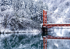 Мост в зимнем лесу. Почтовая открытка