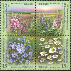 Флора России. Полевые цветы. Квартблок
