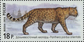 Дальневосточный леопард. Фауна России. Дикие кошки. Почтовая марка