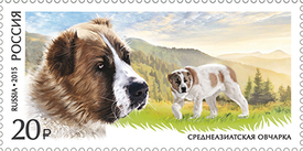 Среднеазиатская овчарка. Фауна России. Служебные породы собак