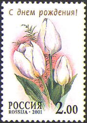 Тюльпан хиберния (Hibernia) - "С днем рождения!". Почтовая марка