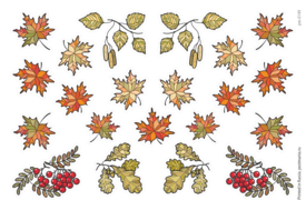 Осенние листочки и веточки, 21 декоративная наклейка с глянцевой ламинацией
