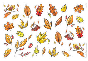 Осенние листья, 29 декоративных наклеек с глянцевой ламинацией