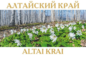 Алтайский край (набор из 13 почтовых открыток)