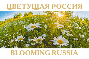 Цветущая Россия (набор из 13 почтовых открыток)
