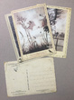 Питер Пэн в Кенсингтонском саду. Набор из 15 почтовых открыток