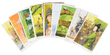 Иллюстрации к балладам о Робин Гуде (набор из 16 почтовых открыток)